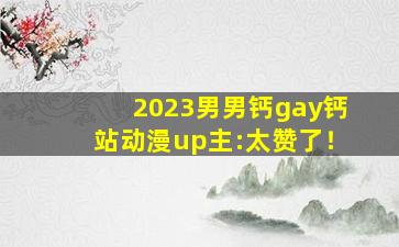 2023男男钙gay钙站动漫up主:太赞了！