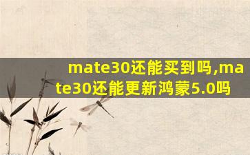 mate30还能买到吗,mate30还能更新鸿蒙5.0吗