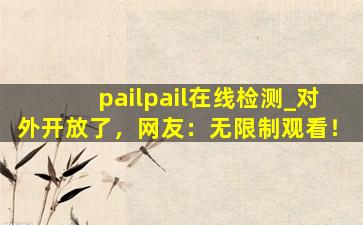 pailpail在线检测_对外开放了，网友：无限制观看！