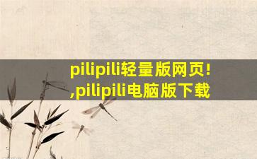 pilipili轻量版网页!,pilipili电脑版下载