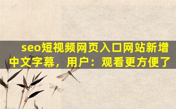 seo短视频网页入口网站新增中文字幕，用户：观看更方便了