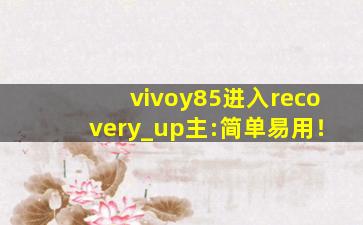 vivoy85进入recovery_up主:简单易用！