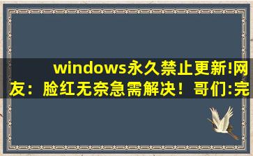 windows永久禁止更新!网友：脸红无奈急需解决！哥们:完美无缺！,如何拒绝windows更新