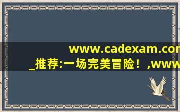 www.cadexam.com_推荐:一场完美冒险！,www开头的域名