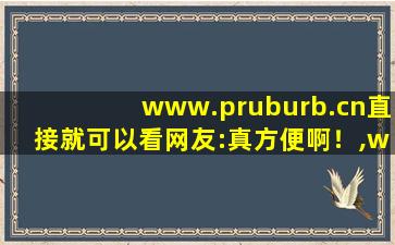 www.pruburb.cn直接就可以看网友:真方便啊！,www开头的域名
