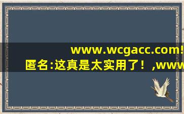 www.wcgacc.com!匿名:这真是太实用了！,www开头的域名