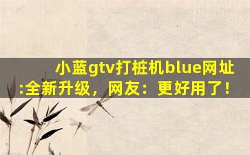 小蓝gtv打桩机blue网址:全新升级，网友：更好用了！