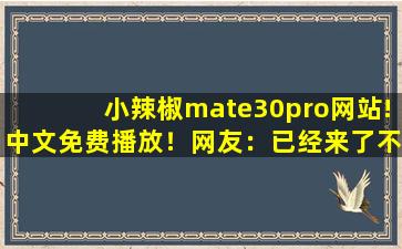 小辣椒mate30pro网站!中文免费播放！网友：已经来了不少