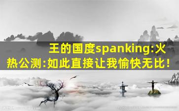 王的国度spanking:火热公测:如此直接让我愉快无比！